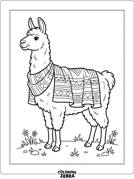 A llama wearing a woven blanket on its back