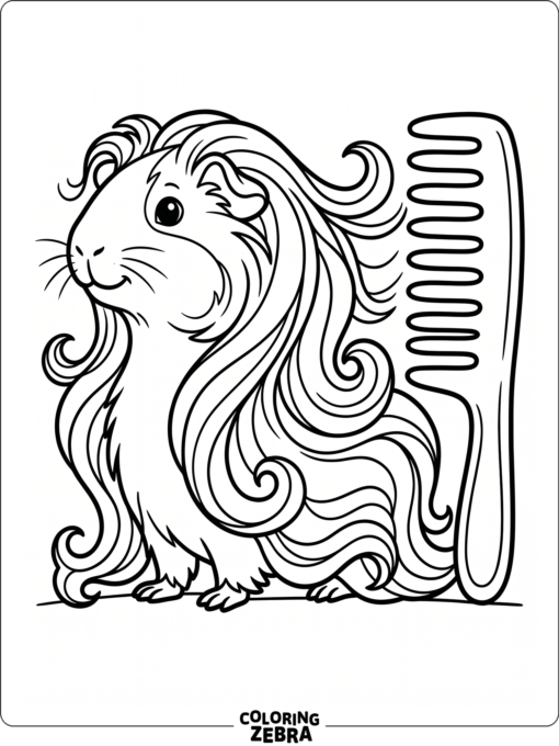 A long-haired guinea pig beside a comb