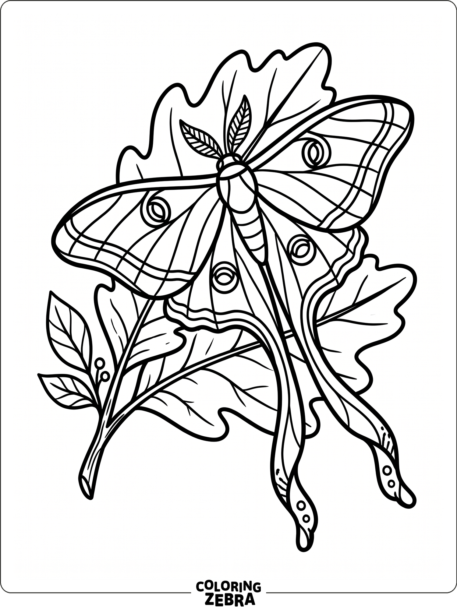35 Free Moth Coloring Pages - Printable PDF Sheets