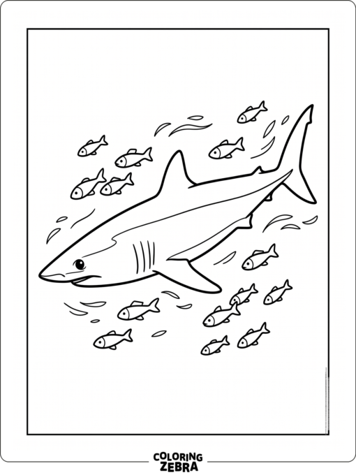 A sleek mako shark swims through open water with small fish