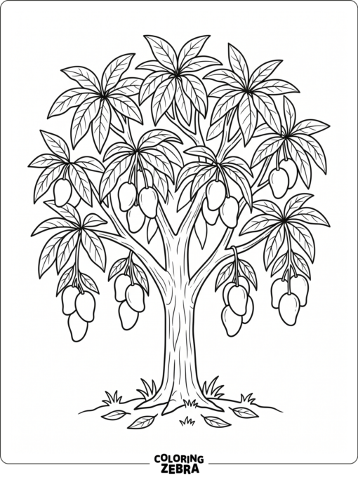 A mango tree with fruit hanging from the branches