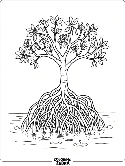 A mangrove tree with tangled roots in shallow water
