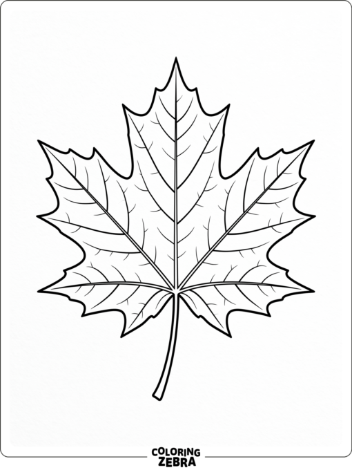 A bold maple leaf with pointed edges