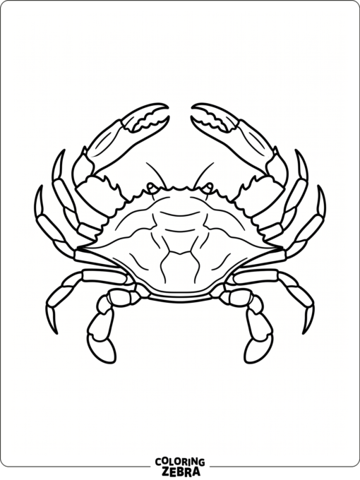 A Maryland blue crab with pointed claws and shell markings