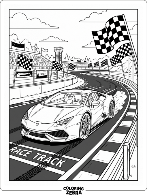 McLaren racing on a track with checkered flags