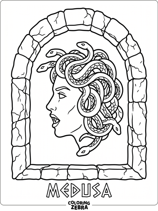 A Medusa profile with snake hair and a stone frame
