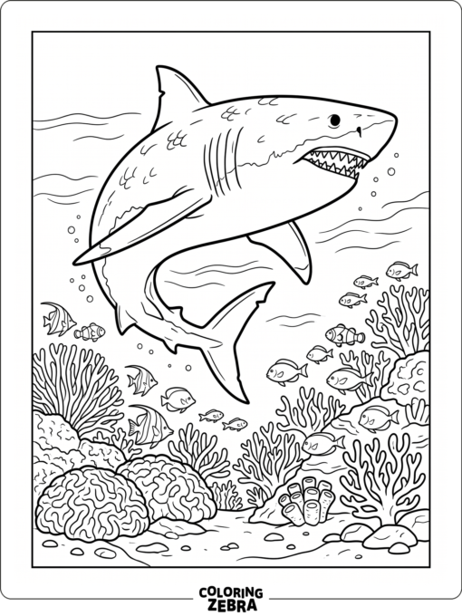 A megalodon swimming near coral and fish