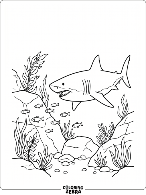A megalodon stalking fish near rocks and seaweed