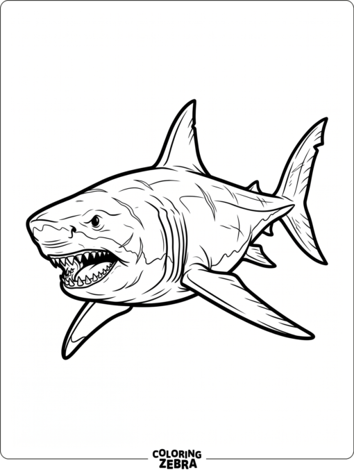 A clean megalodon outline with open fins
