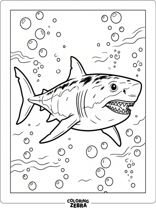 An ancient megalodon shark with jagged teeth