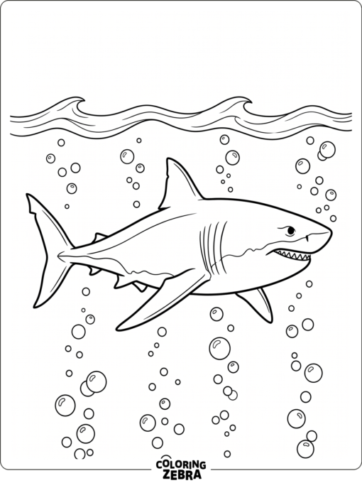 A giant megalodon swimming below the waves with bubbles