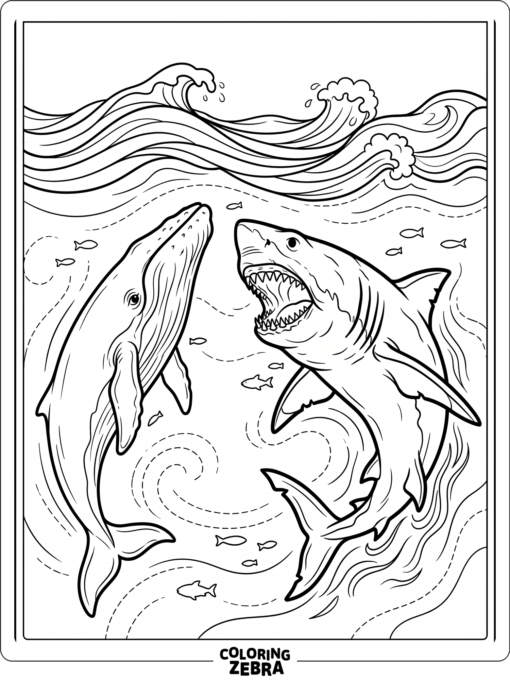 A megalodon facing a whale in the open ocean