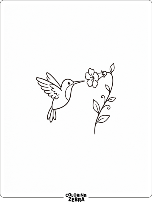A tiny hummingbird with a minimal design