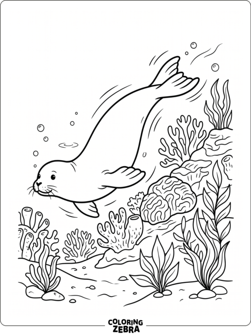 A monk seal swimming near coral and sea plants