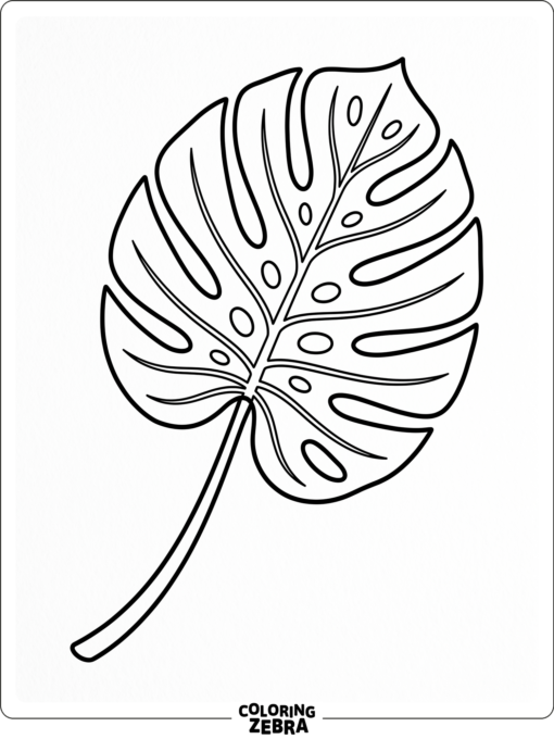 A monstera leaf with natural cutouts