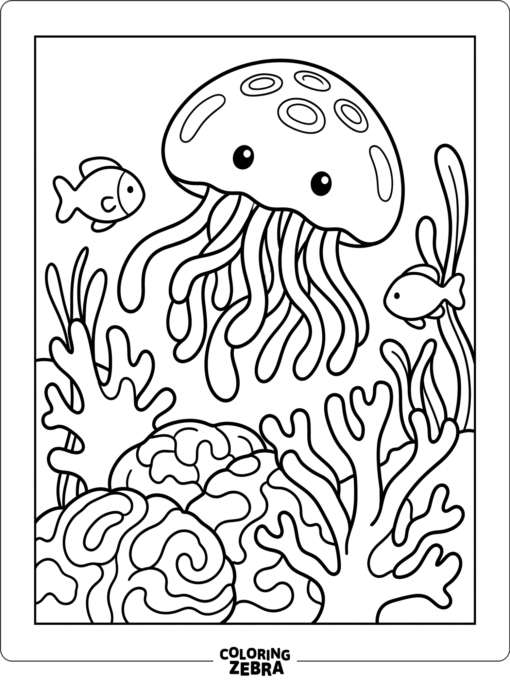 A moon jellyfish floating above coral