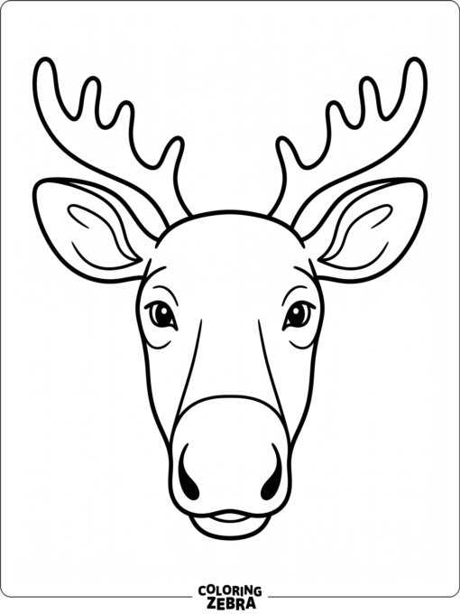 A close-up moose face with ears and antlers