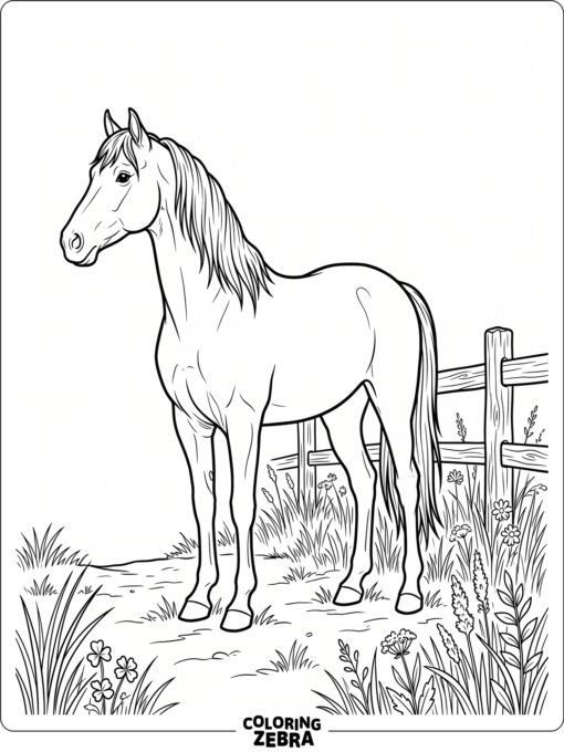 A Morgan horse stands beside a fence