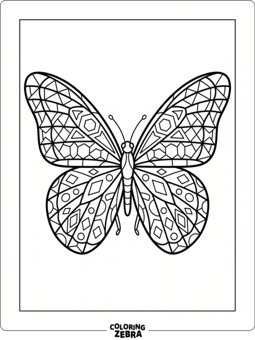 A butterfly with geometric wing panels and clean open spaces
