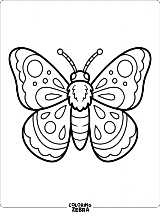 A simple moth with open wings and lots of empty space