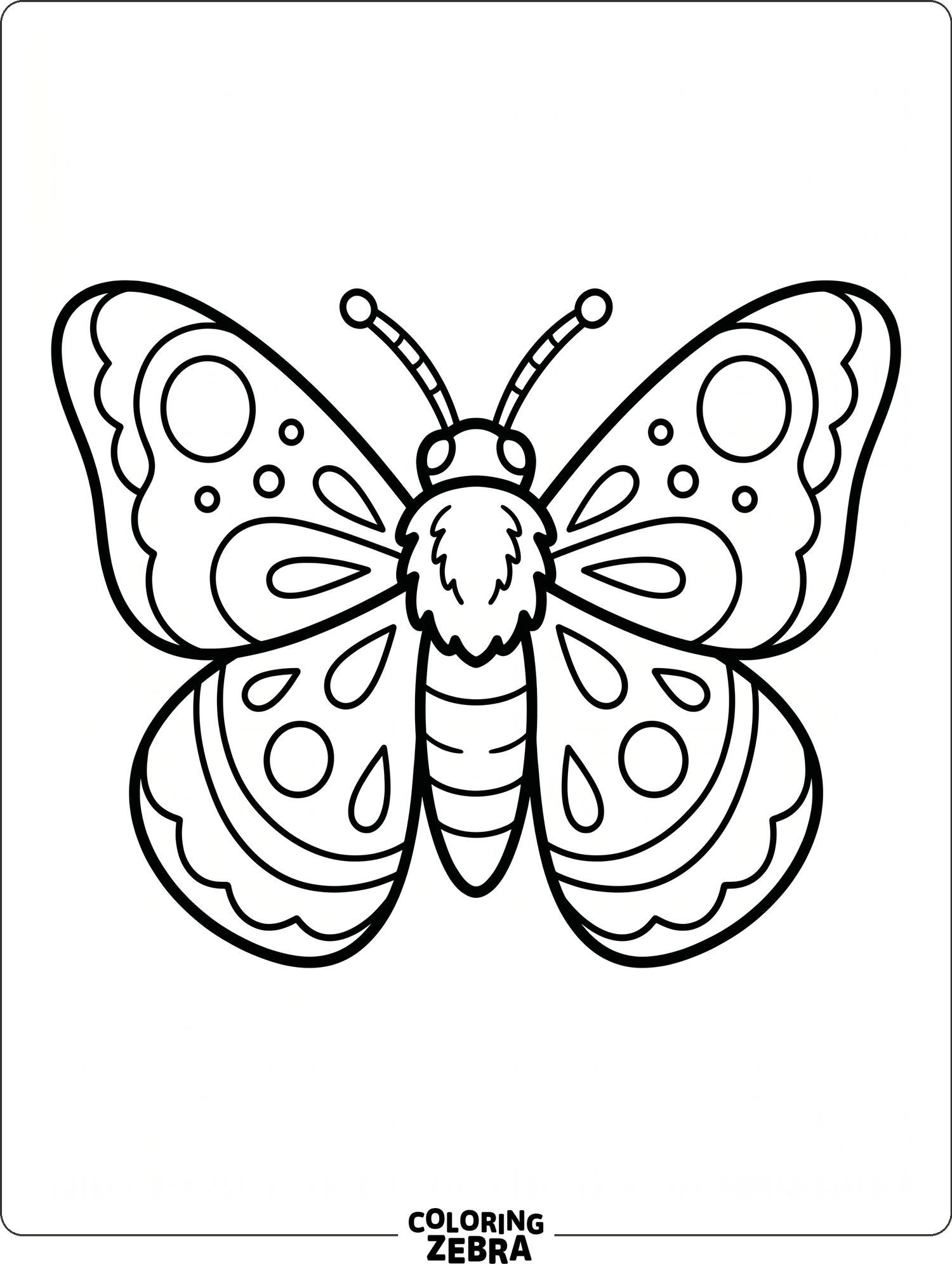 A simple moth with open wings and lots of empty space