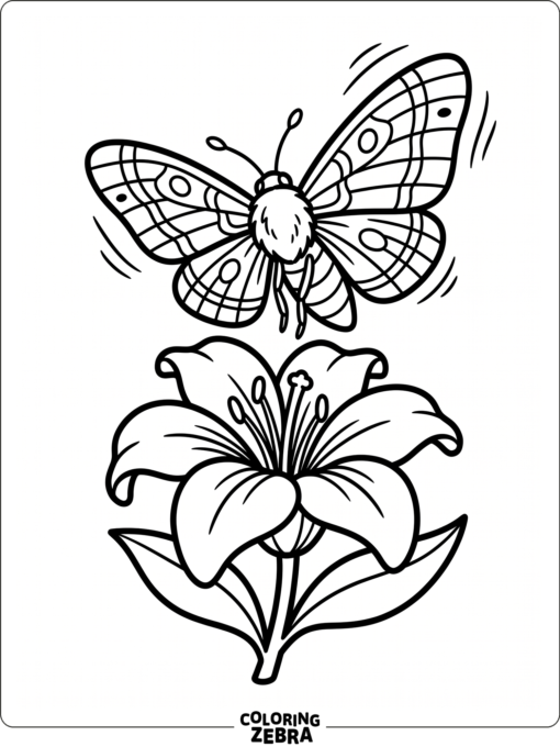 A moth hovering over a blooming flower