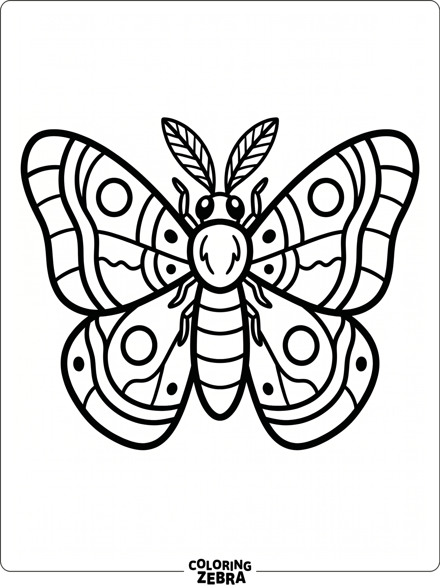 Key Moth Colouring 35 Free Moth Coloring Pages - Printable PDF Sheets