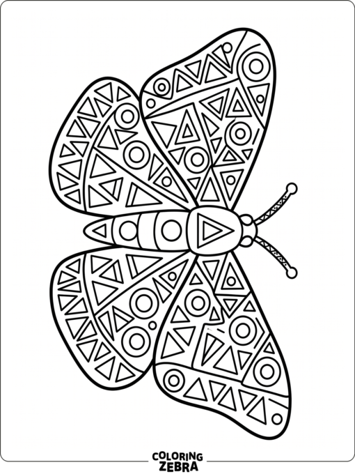 A moth with geometric wing patterns