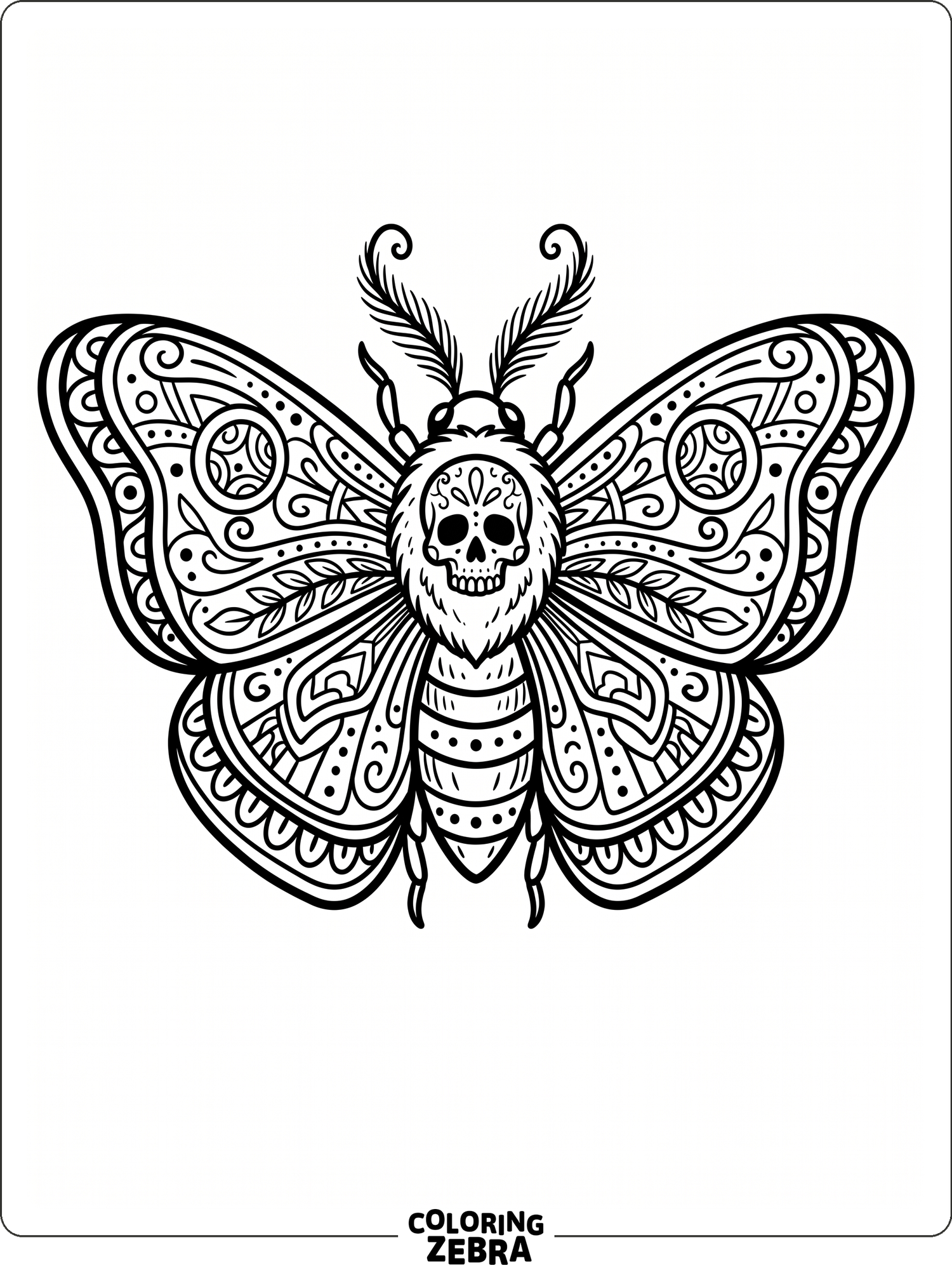 Key Moth Colouring 35 Free Moth Coloring Pages - Printable PDF Sheets