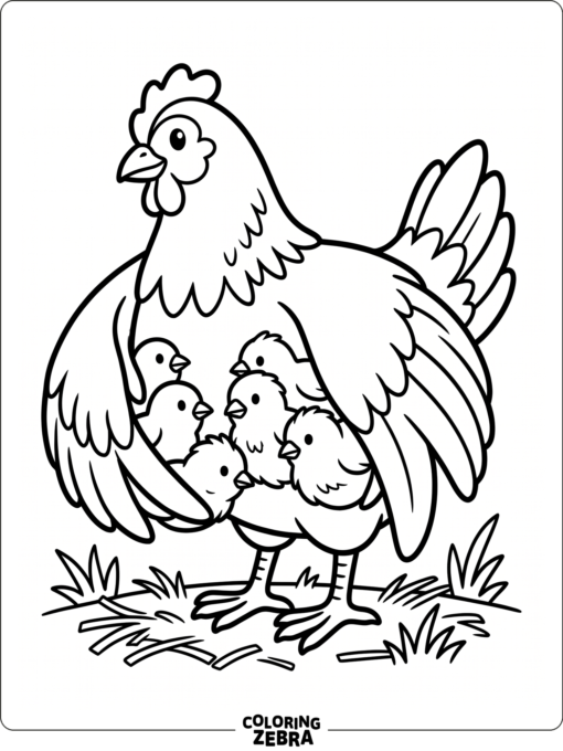 A mother hen sheltering chicks under her wings