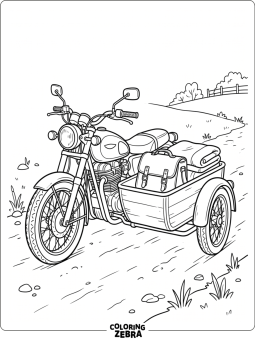 A motorcycle with a sidecar and travel bag