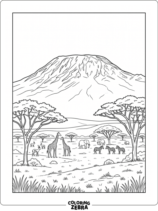 Snowy Mount Kilimanjaro above open plains