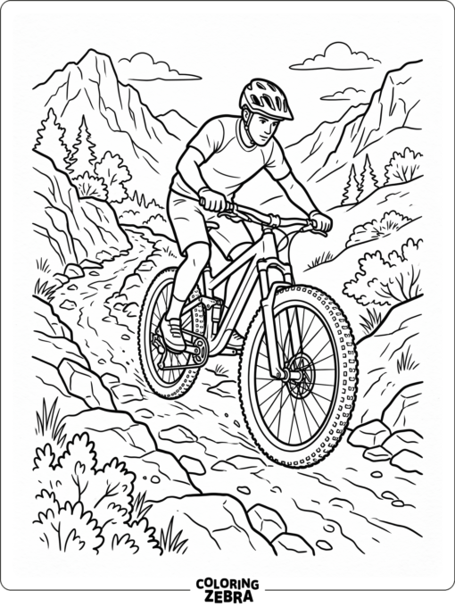 A mountain bike with thick tires on a rough trail
