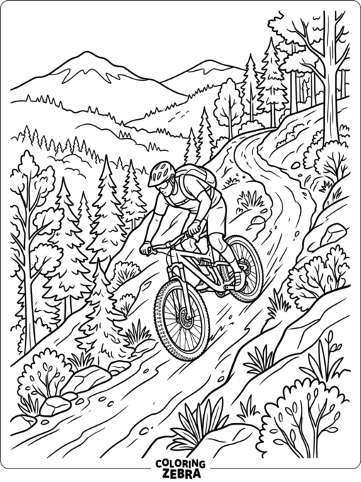 A mountain biker riding down a trail