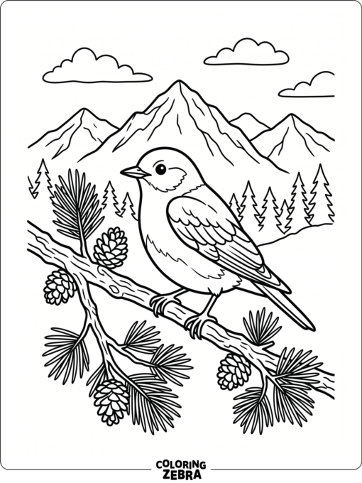 A bluebird perched on a pine branch