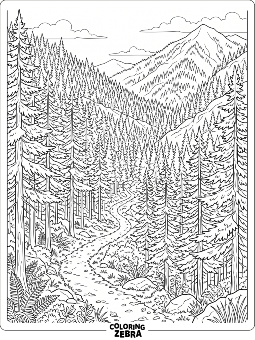 A mountain forest with pines and rocky slopes