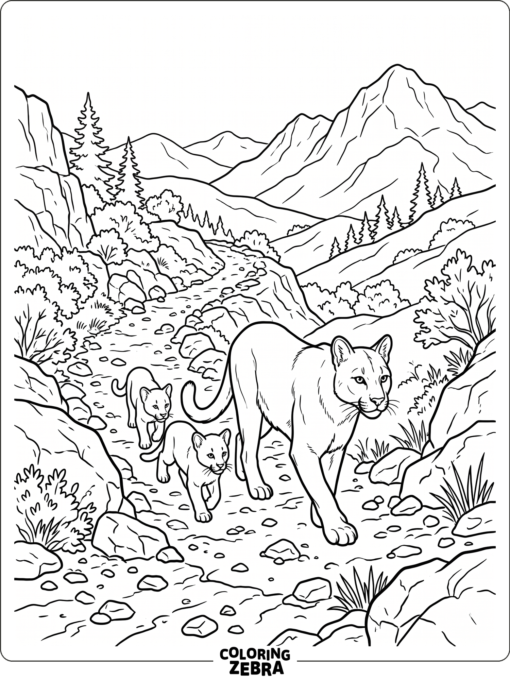 A mountain lion family on a rocky trail