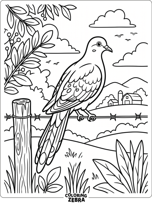 A mourning dove perched on a wire