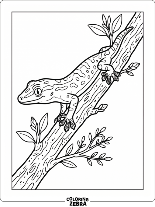 A mourning gecko clings to a twig with tiny toes