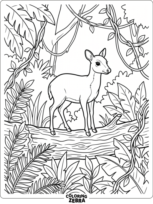 A mouse deer standing on a log near leaves