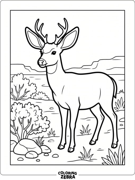 A mule deer standing near desert shrubs