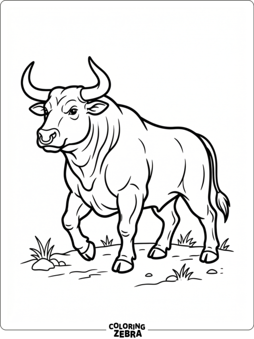 A muscular bull with a thick neck and broad chest