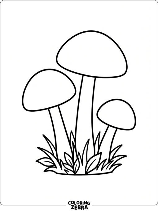 Three simple mushrooms with smooth caps and a small grass patch