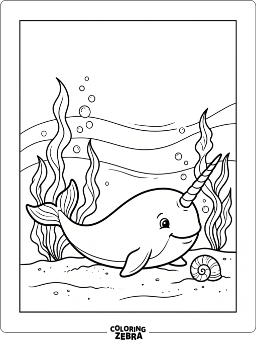 A narwhal resting near seaweed and a shell