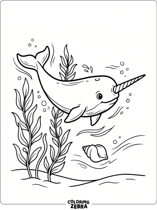 A narwhal whale near kelp and a shell
