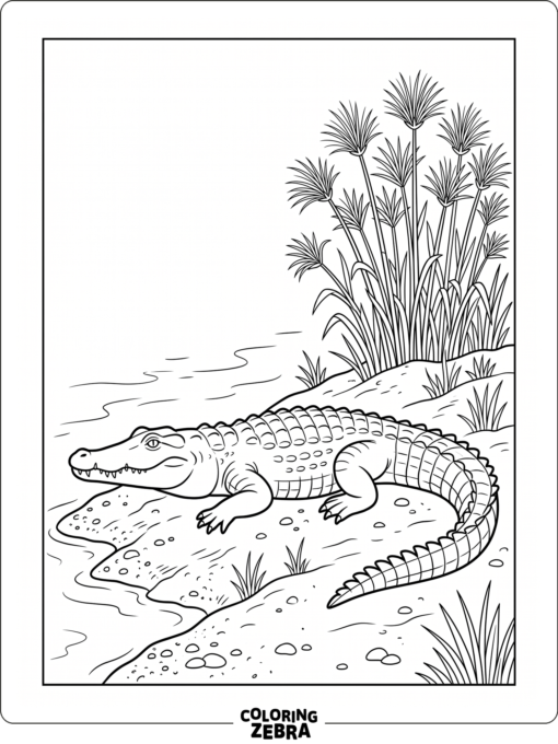 A Nile crocodile resting by papyrus plants