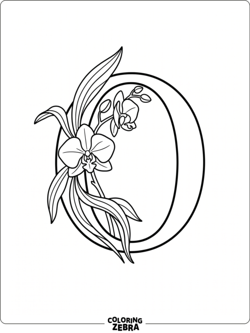 An orchid flower beside a large letter O