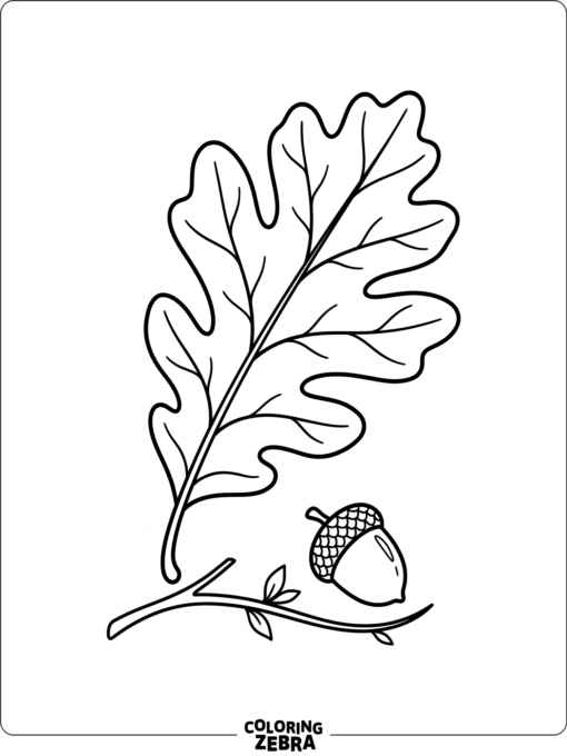 An oak leaf with a small acorn beside it
