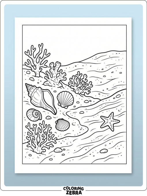 The ocean floor with shells coral pieces and a starfish