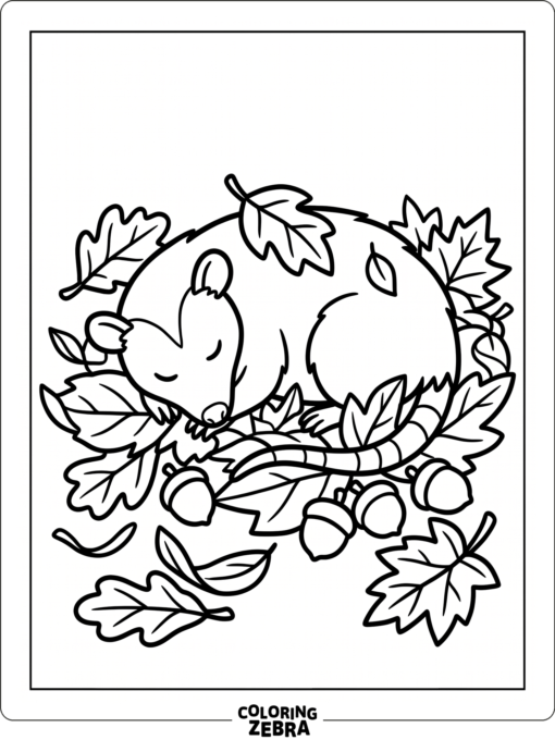 An opossum resting in fallen leaves